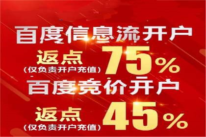 百度竞价价格优化，成功案例解析